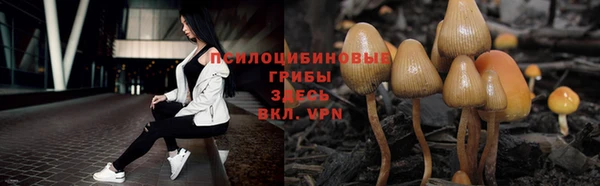 а пвп мука Володарск