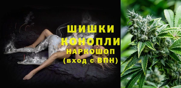 прущая мука Бородино