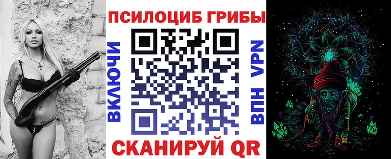 где найти наркотики  Саяногорск  Псилоцибиновые грибы MAGIC MUSHROOMS 