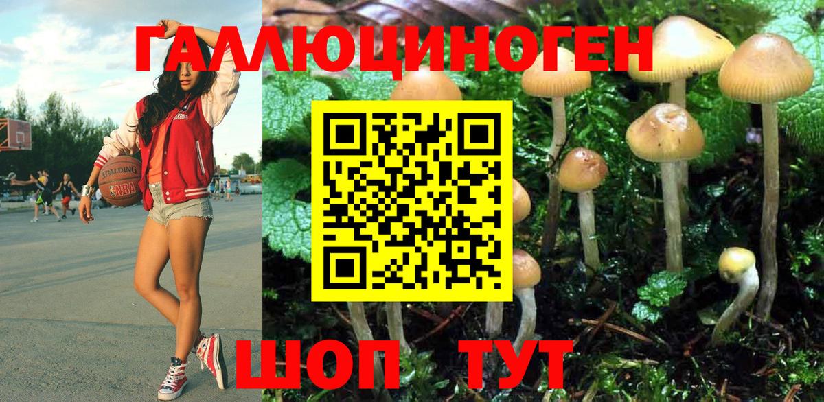 Галлюциногенные грибы ЛСД Саяногорск