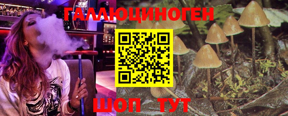 Галлюциногенные грибы мицелий Саяногорск