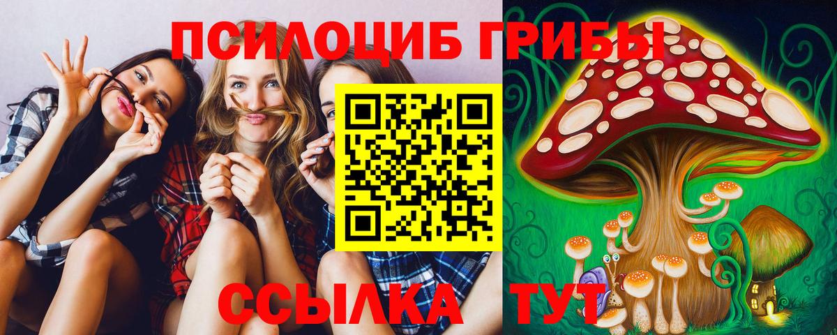 Саяногорск  Псилоцибиновые грибы MAGIC MUSHROOMS  Вход с VPN  Галлюциногенные грибы мухоморы 